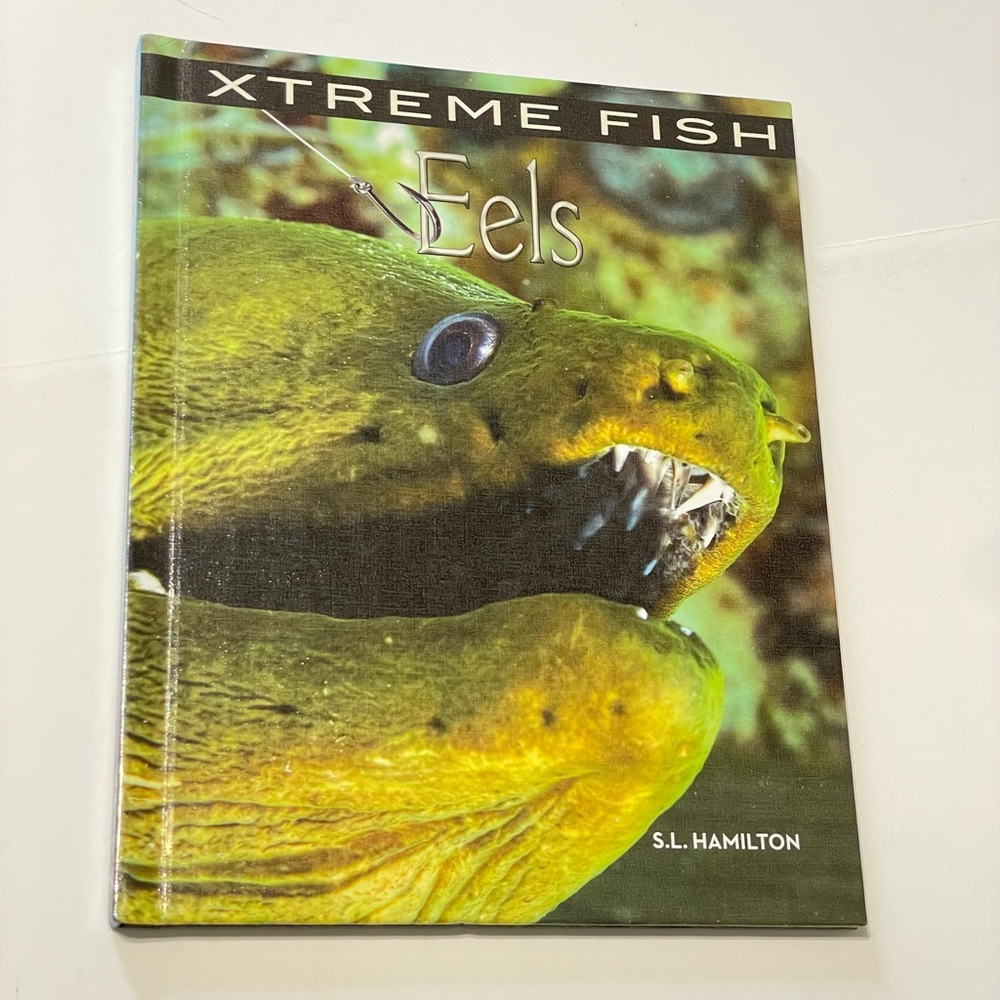 Eels (Xtreme Fish)
